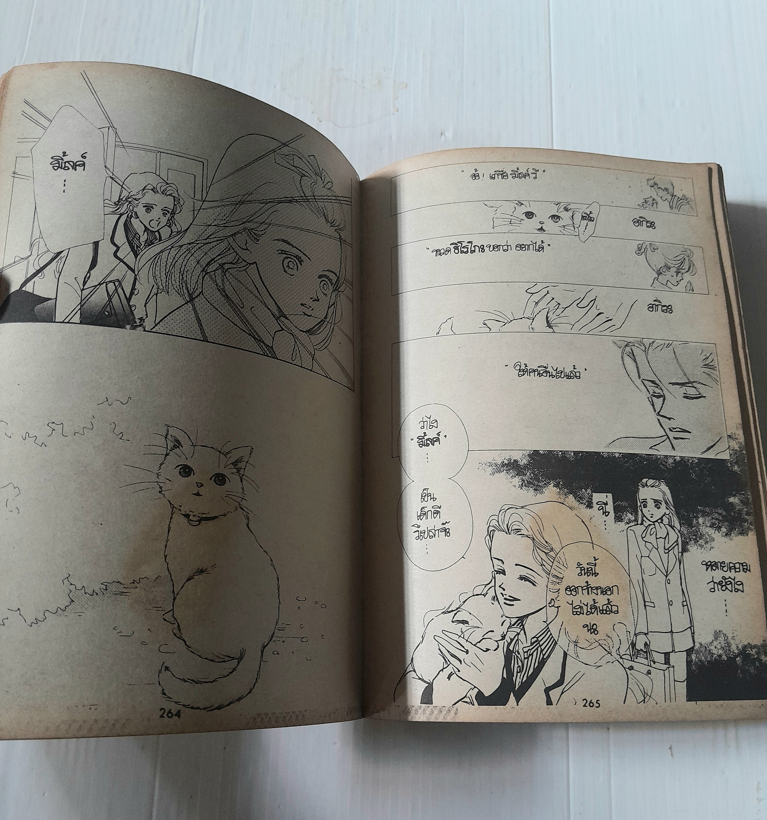 ตลอดเวลามีเธอเพียงคนเดียว 2 เล่มจบ / AI YAZAWA