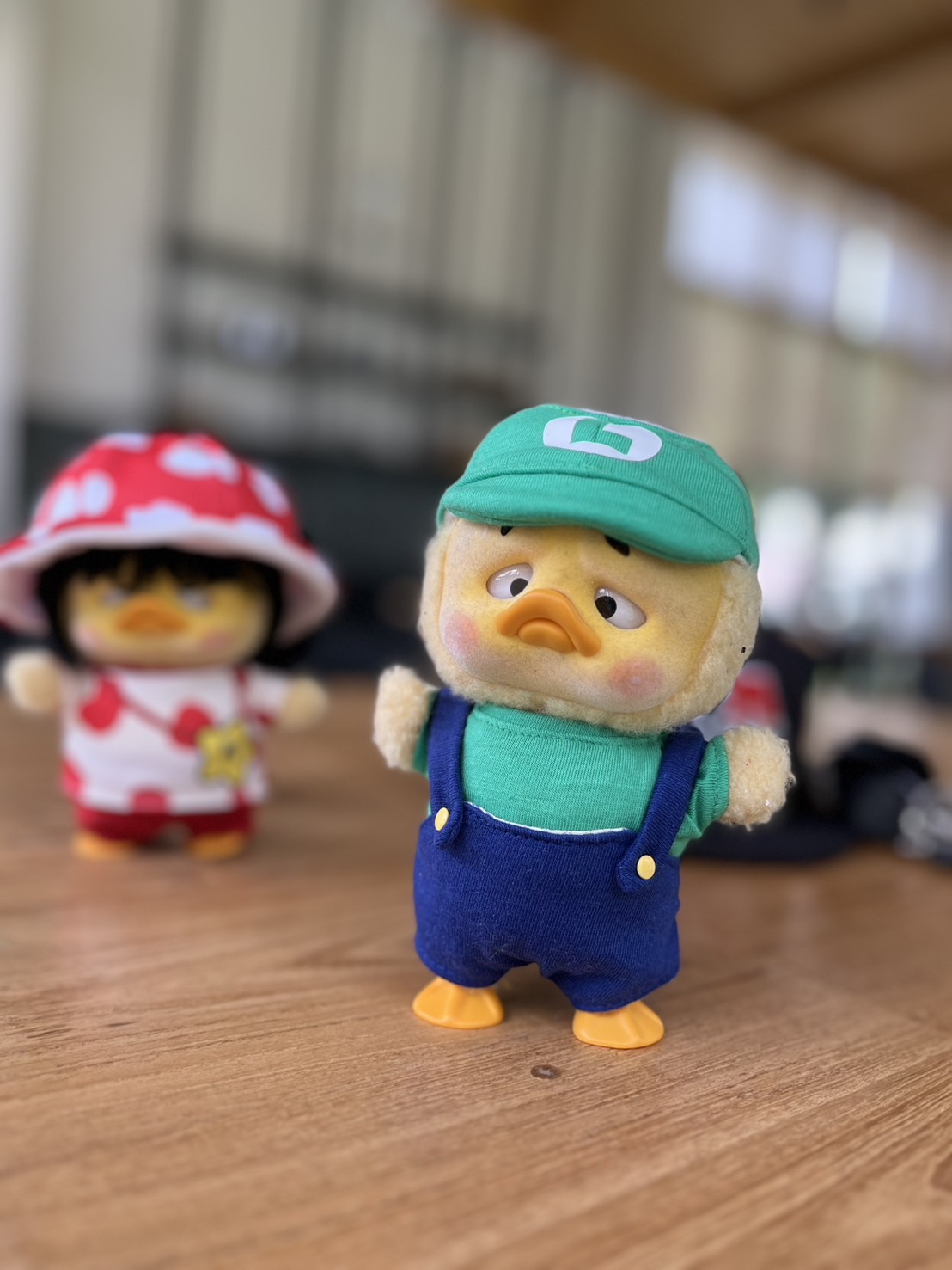 R029 ชุดสำหรับตุ๊กตา Upset Duck