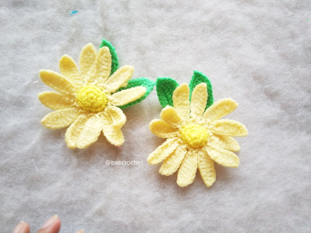 Bancrochet ดอกดาวกระจาย Sulfur Cosmos flowers สีเหลืองอ่อน 3 นิ้ว