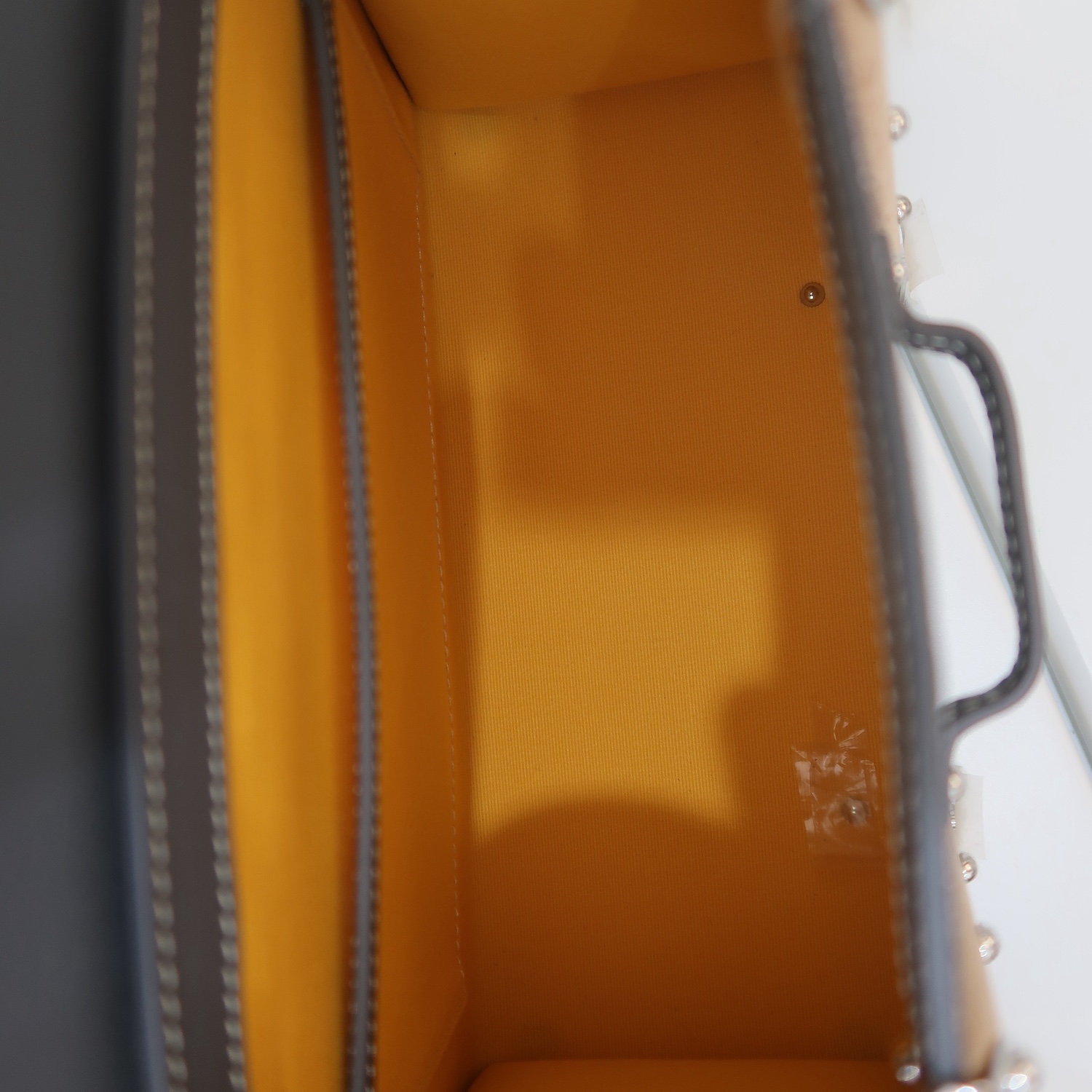 Goyard Grey Saigon Mini Structure (2023)