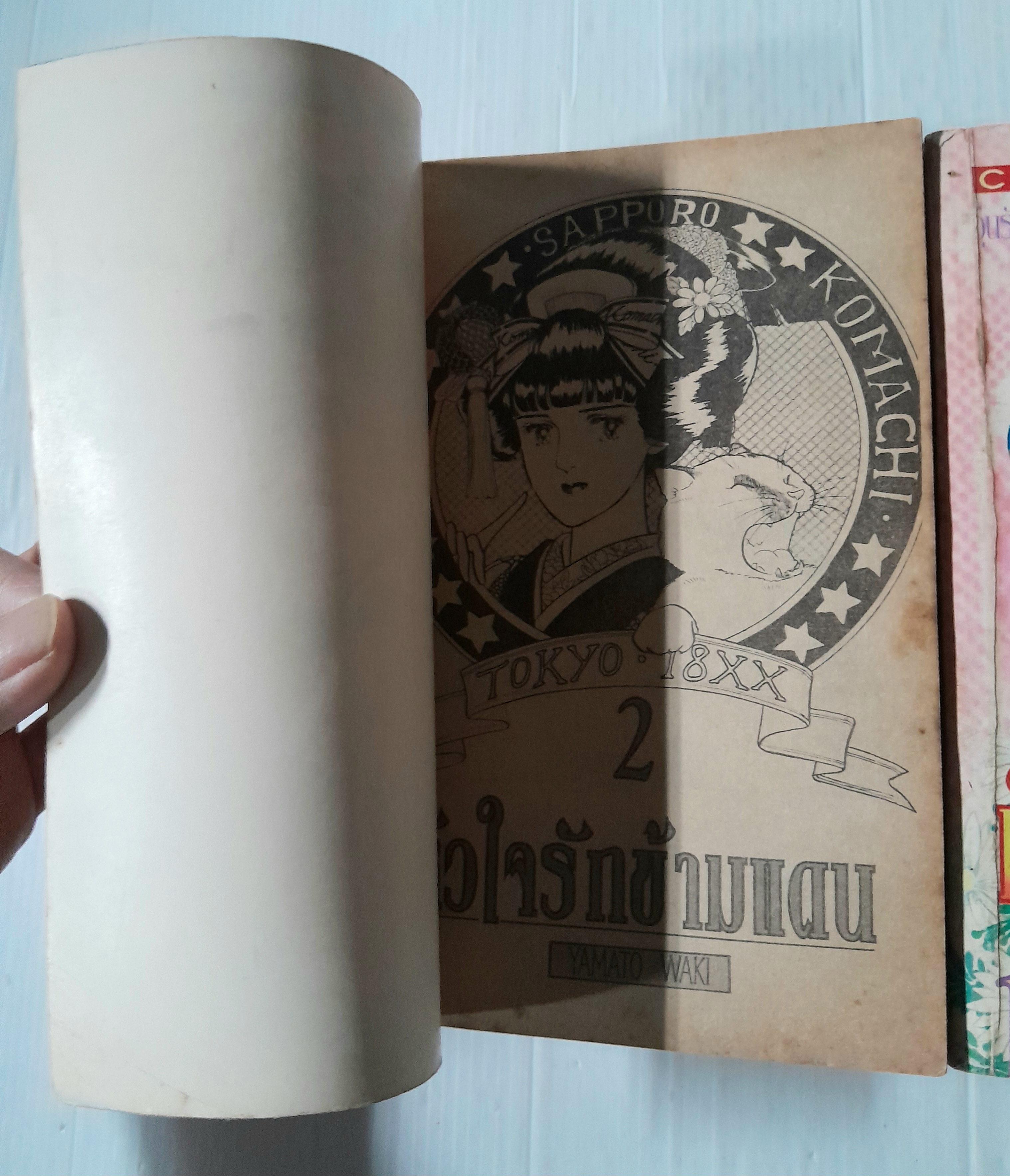 หัวใจรักข้ามแดน 2 เล่มจบ / Yamato Waki