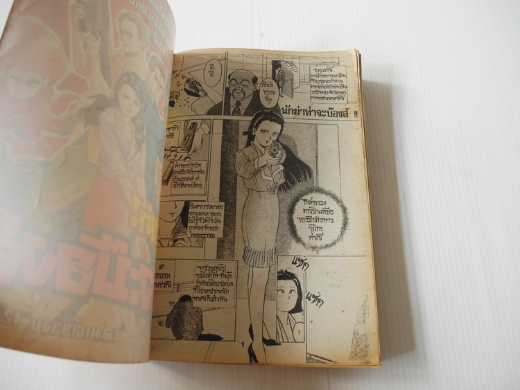 นักฆ่าท่าจะบ๊องส์ (เล่มเดียวจบ)