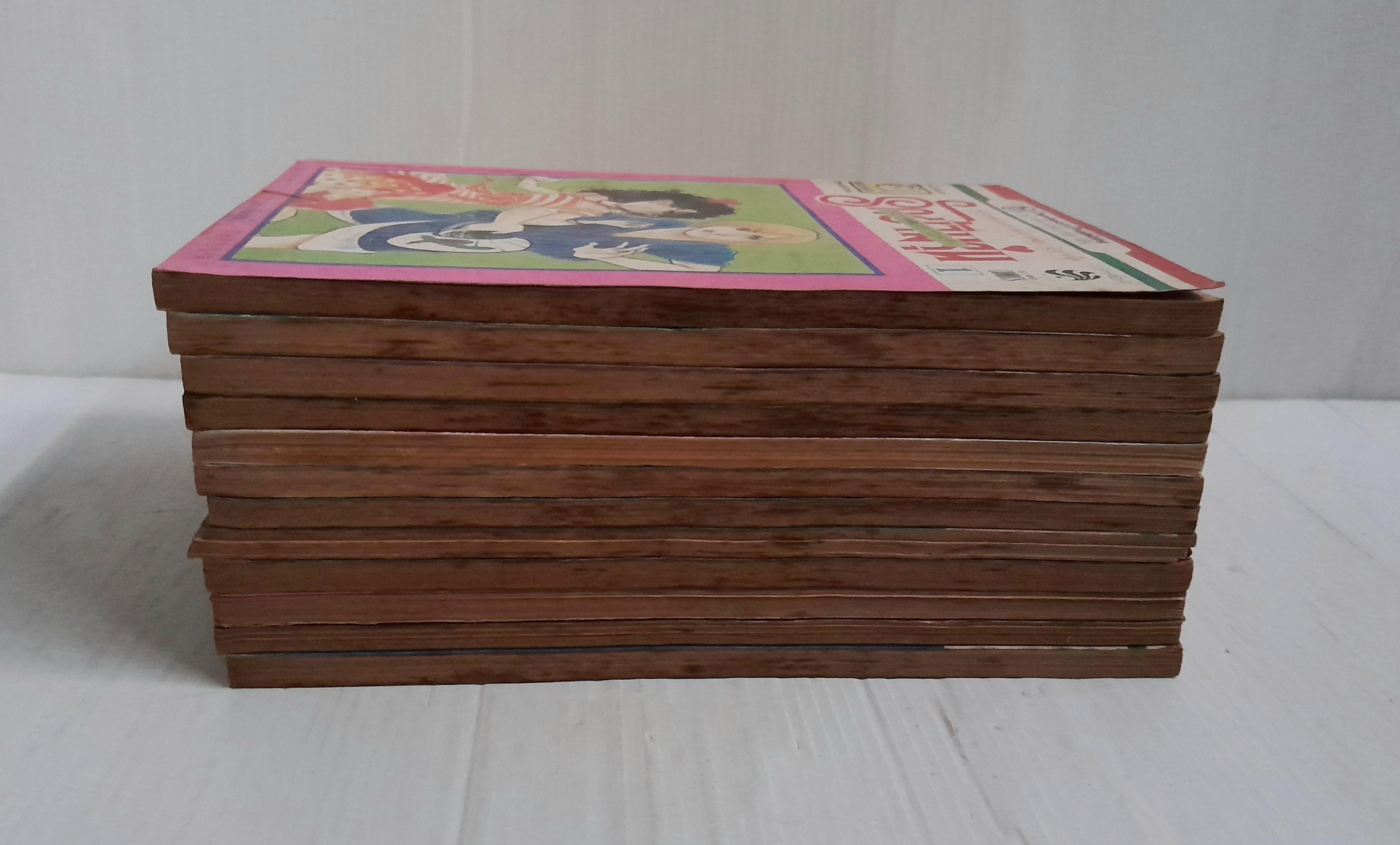 รักข้ามรุ่น 12 เล่มจบ / มิวะ ซาคาอิ