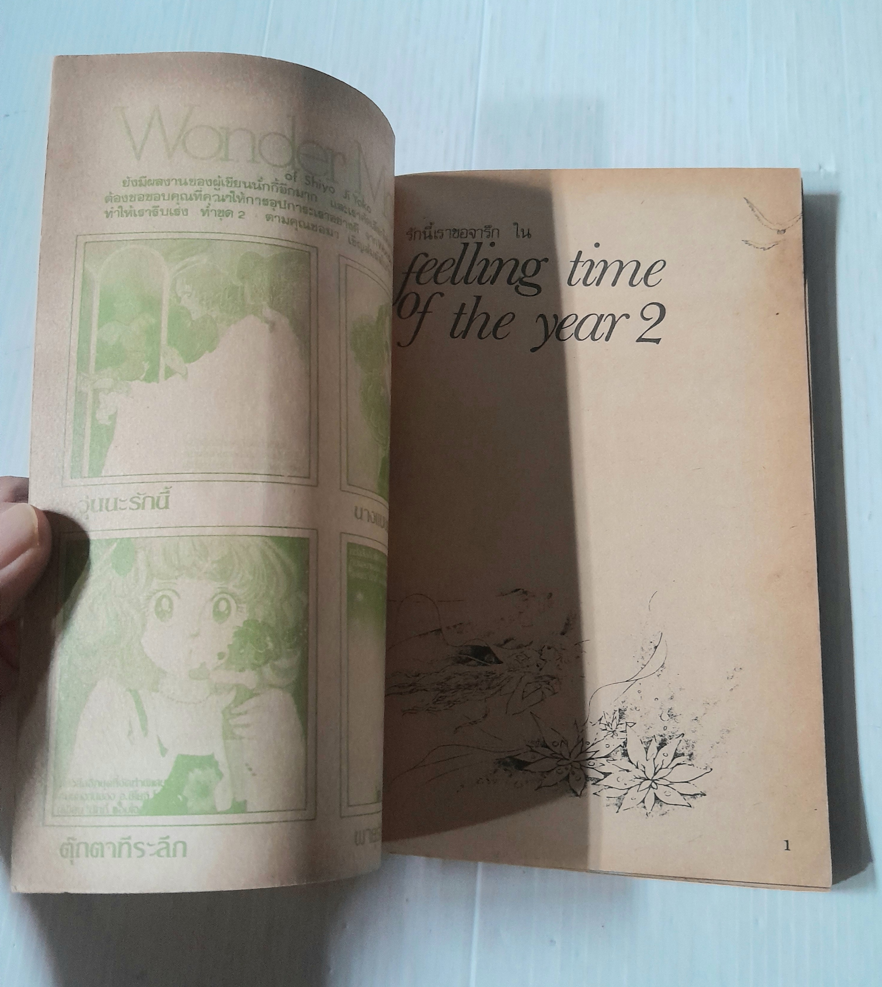 รักระหว่างรบ (เล่มเดียวจบ)