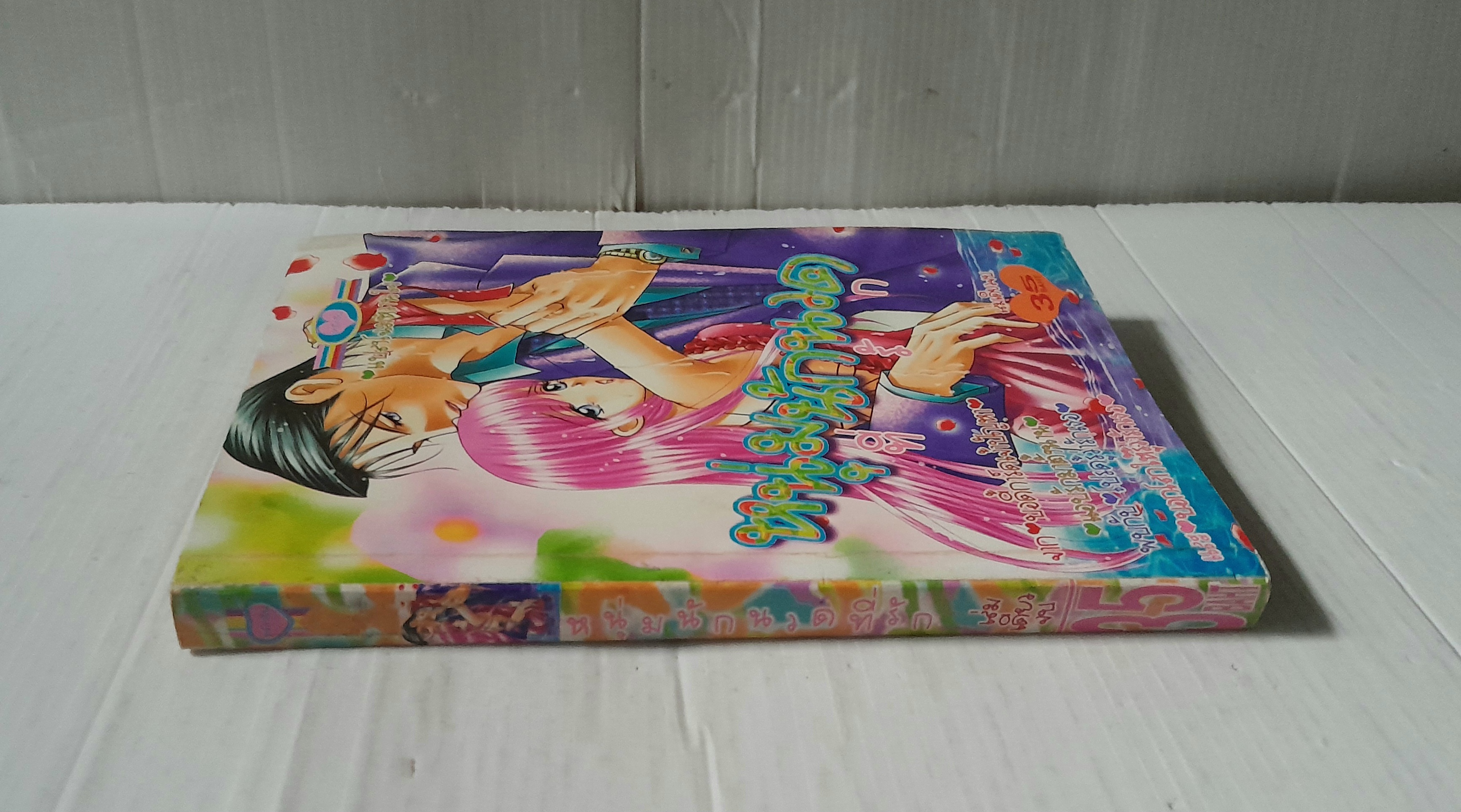 หนุ่มนักวาดที่รัก (เล่มเดียวจบ)