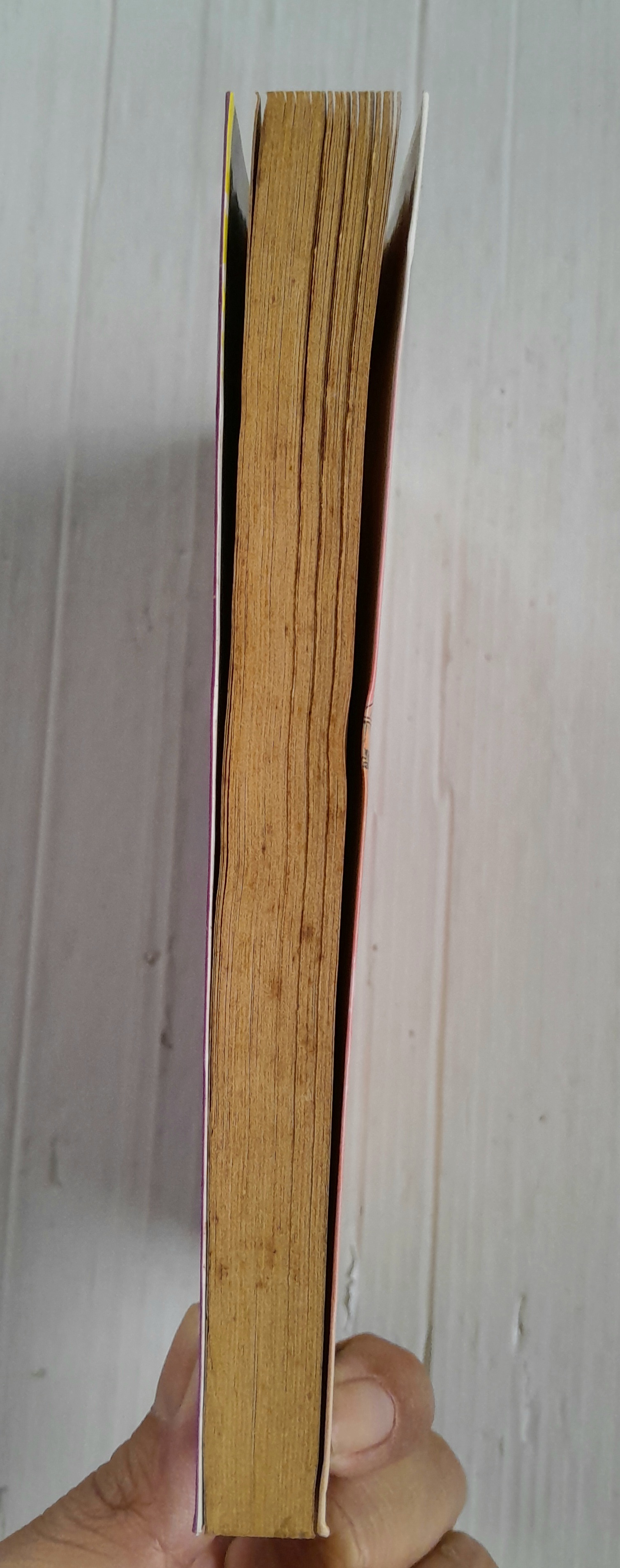 ฝากฝันไว้ที่เธอ (เล่มเดียวจบ) / ไซโต้ จิโฮ