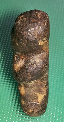 พระปิดตาหลวงปู่เอี่ยม วัดสะพานสูง