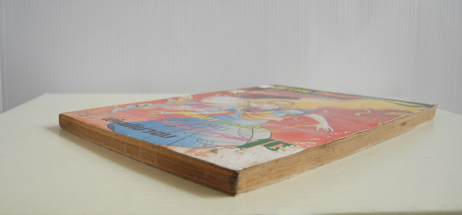 สาวน้อยพลังมหัศจรรย์ ( เล่มเดียวจบ )