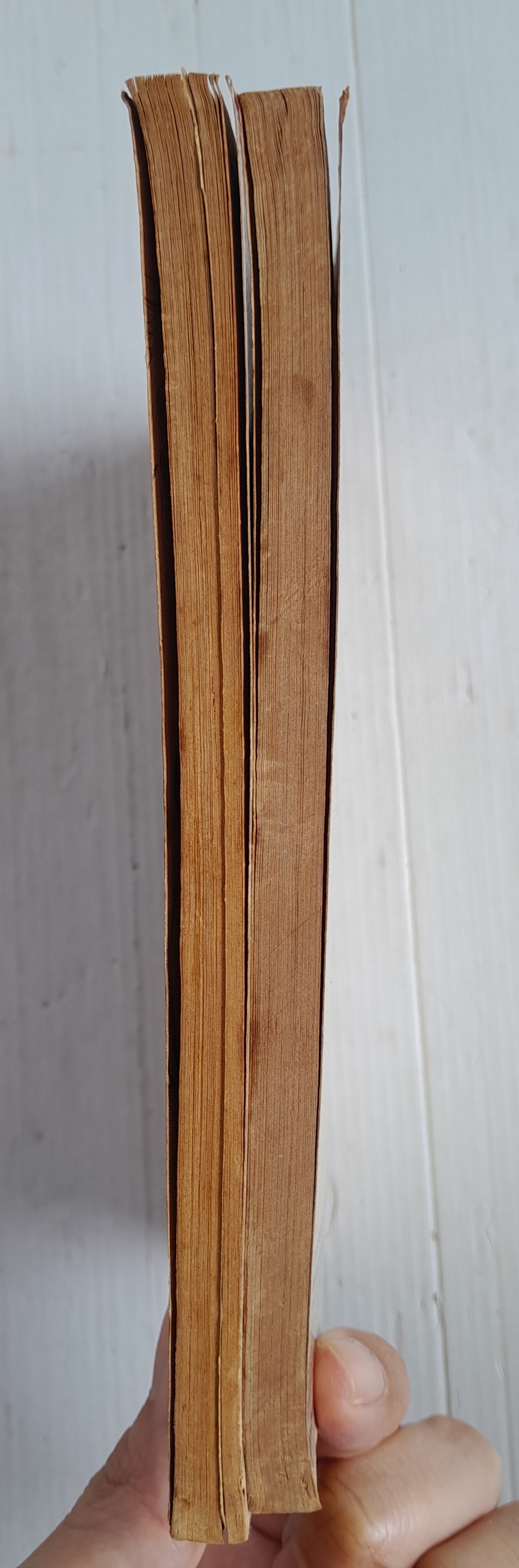 รักยุคอวกาศ 2 เล่มจบ / ยูซึกิ ฮิคารุ