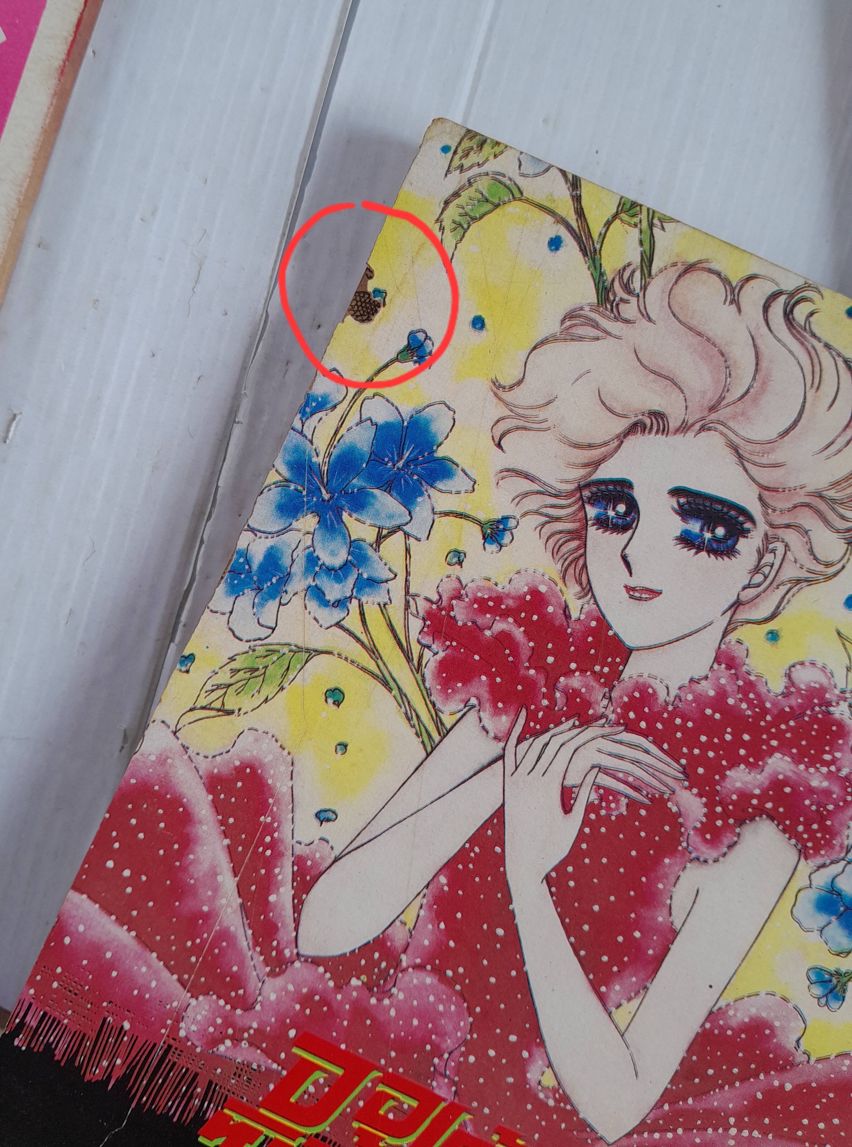 ออเร้นซ์ซิตี้ 5 เล่มจบ / นาคะ โทโมโกะ