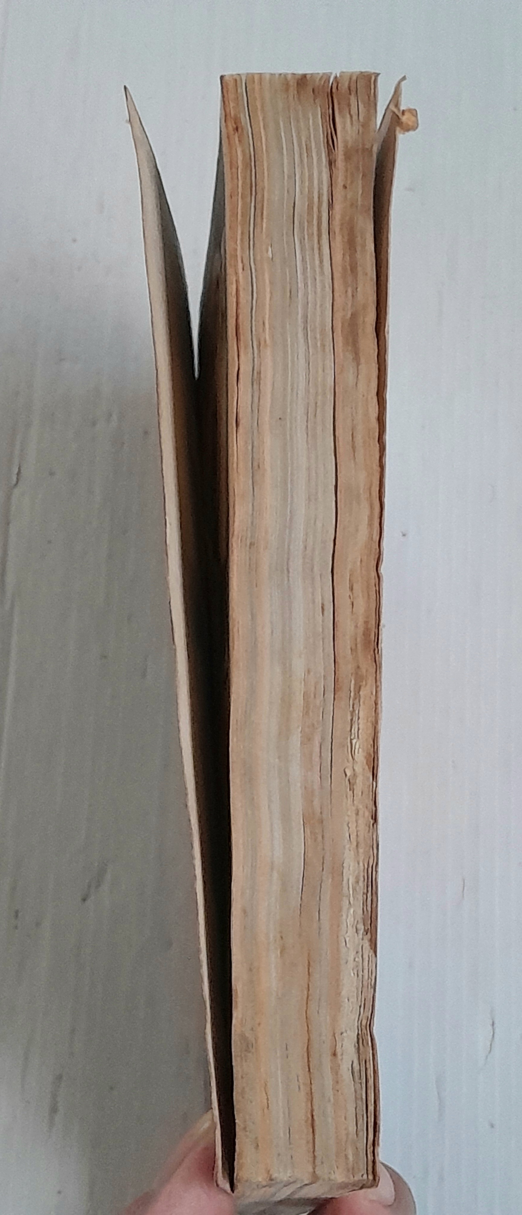 เทวรูปกินคน (เล่มเดียวจบ)