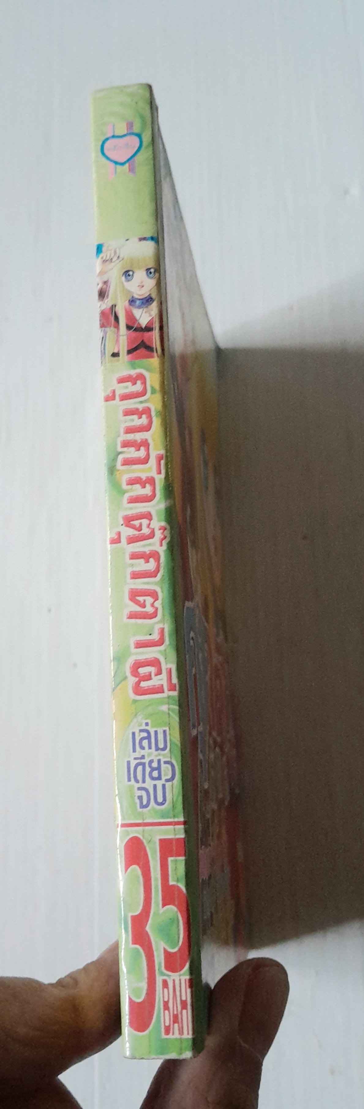 กุกกักตุ๊กตาผี (เล่มเดียวจบ)