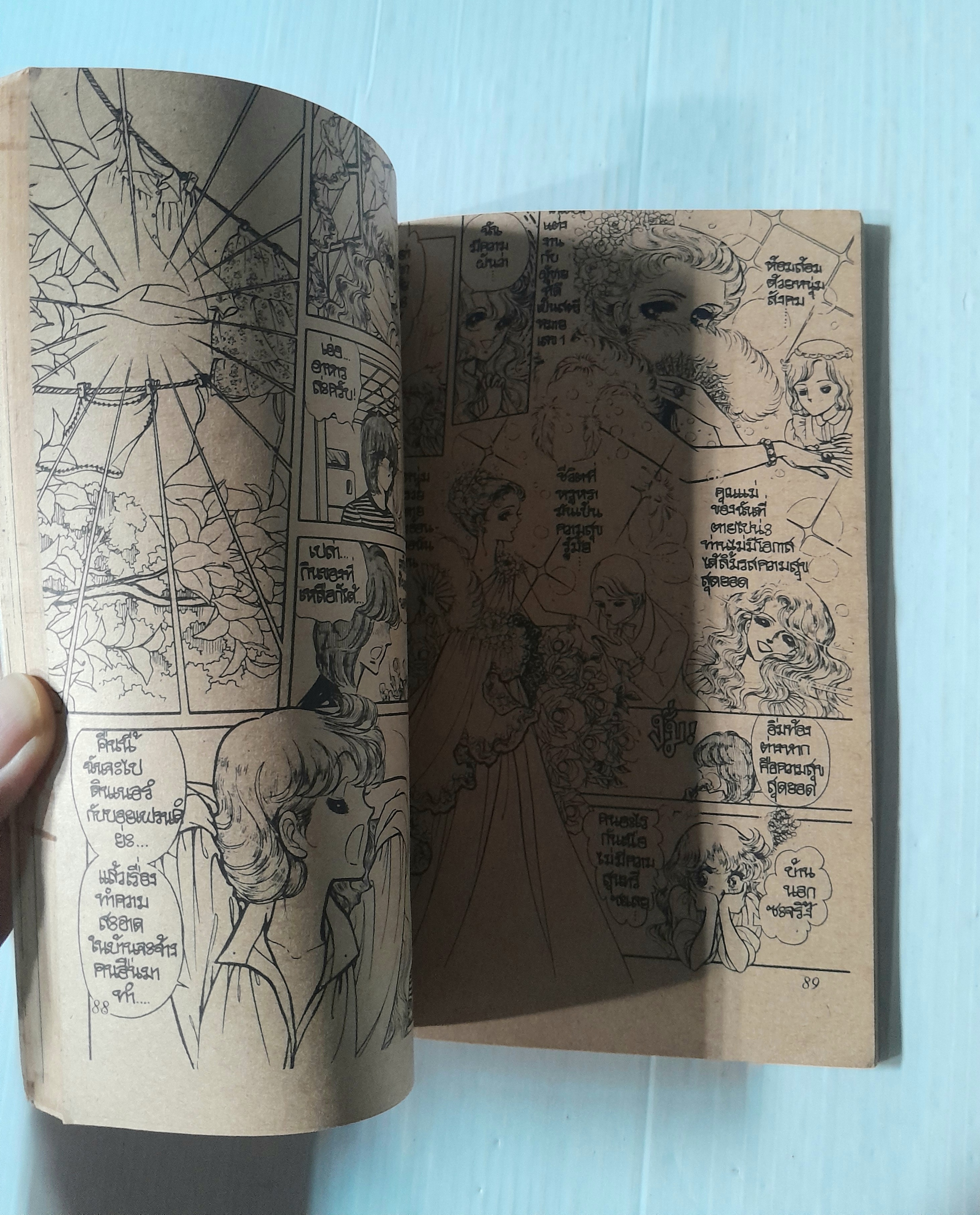 เทพธิดาโจรสลัด (เล่มเดียวจบ) / Ikesumi Chieko