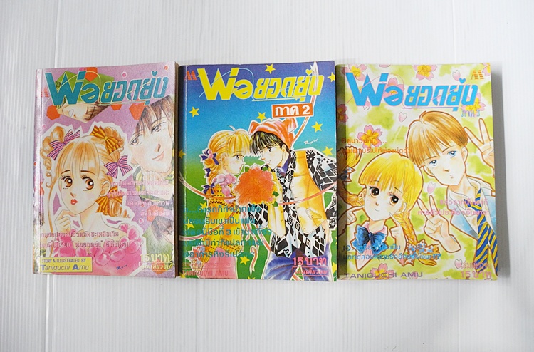 พ่อยอดยุ่ง ภาค 1-3 / Taniguchi Amu