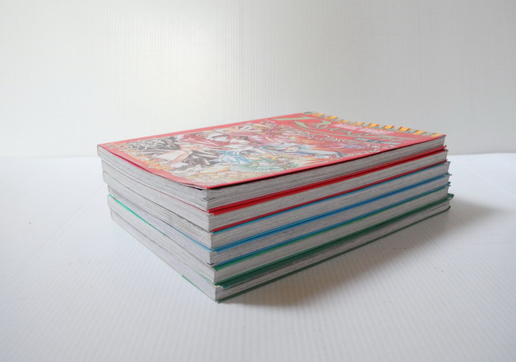 เมจิกไนท์ เรย์เอิร์ธ 6 เล่มจบ