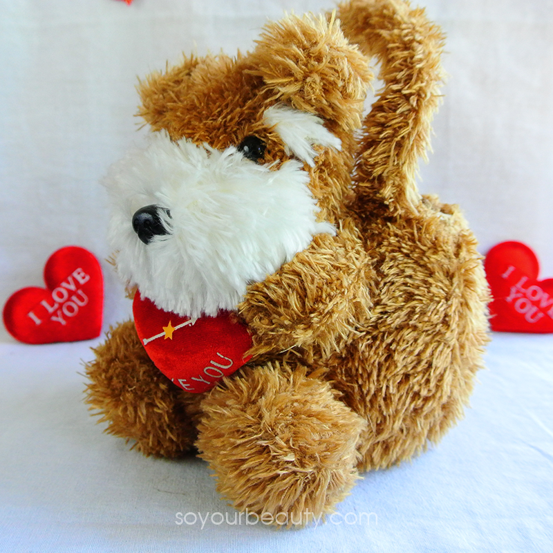 ตุ๊กตากระเป๋า (น้องหมี/น้องหมา)