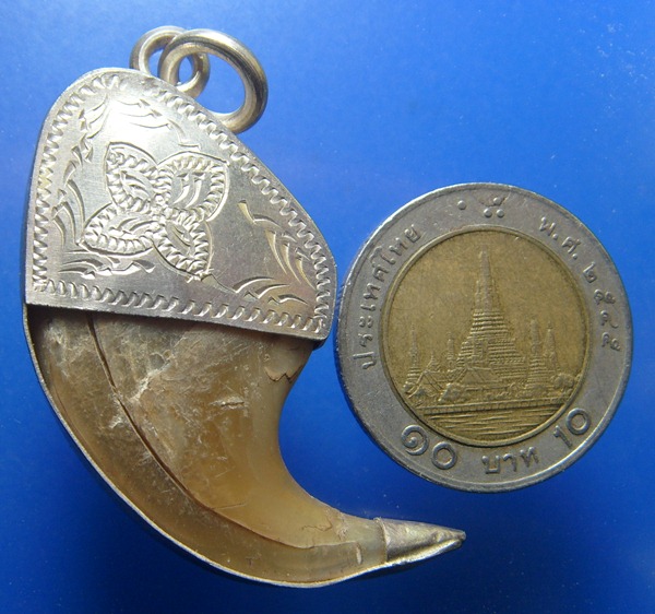 เล็บเสือ