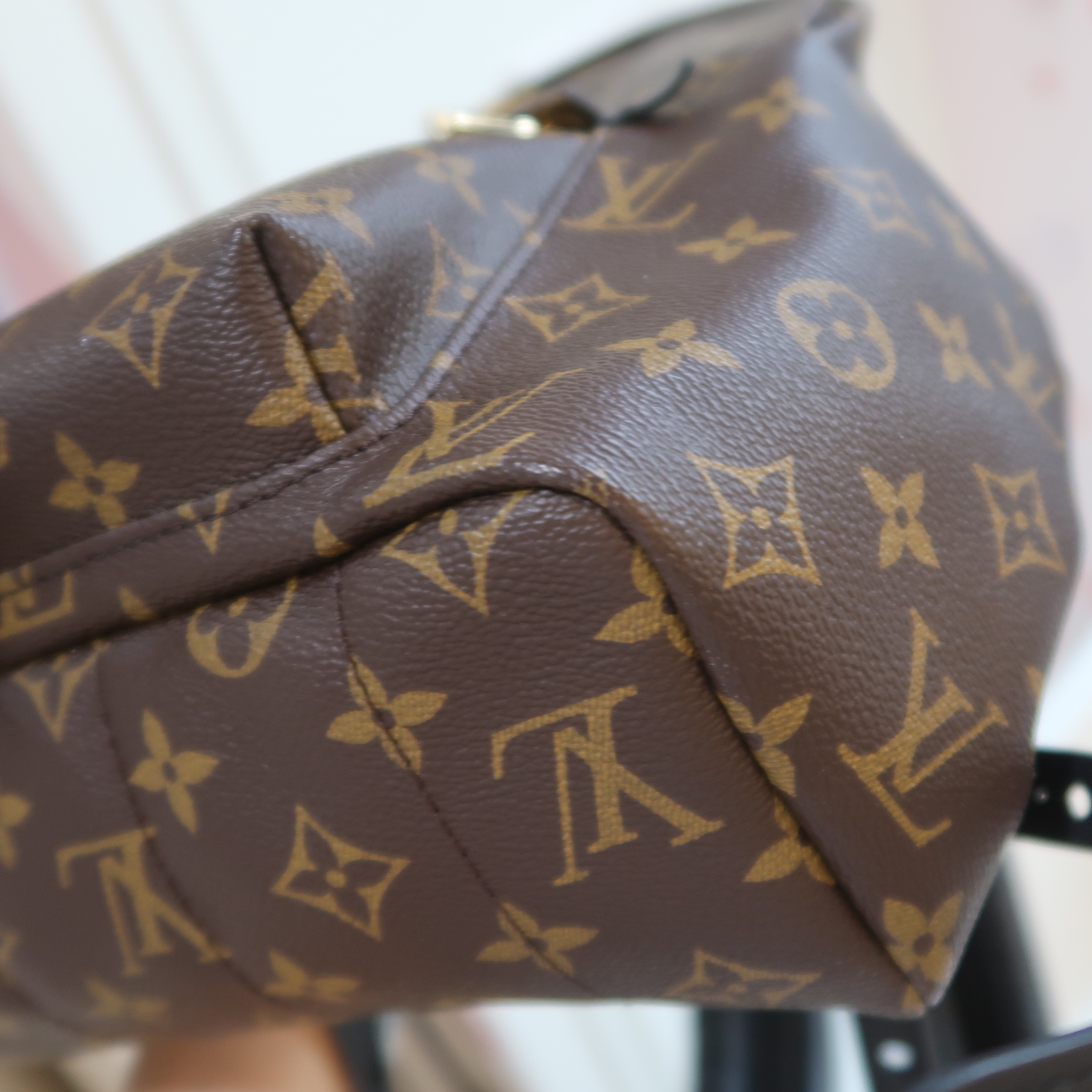 Louis Vuitton Monogram Palm Spring MM