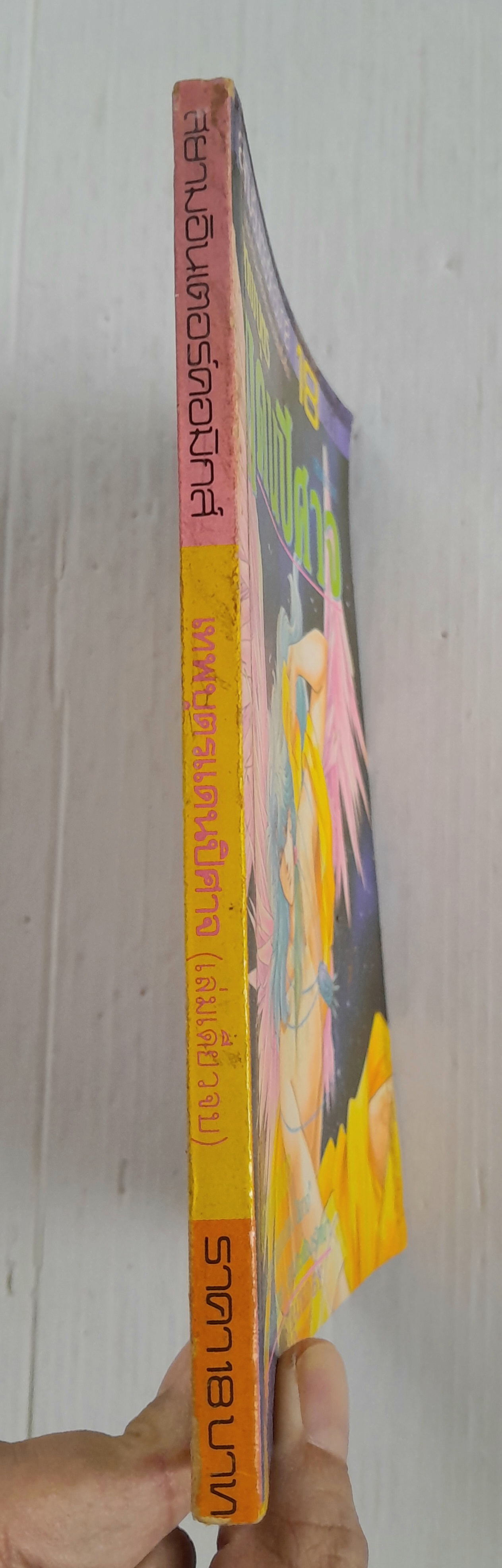 เทพบุตรแดนปีศาจ (เล่มเดียวจบ) / Kagizawa Rio