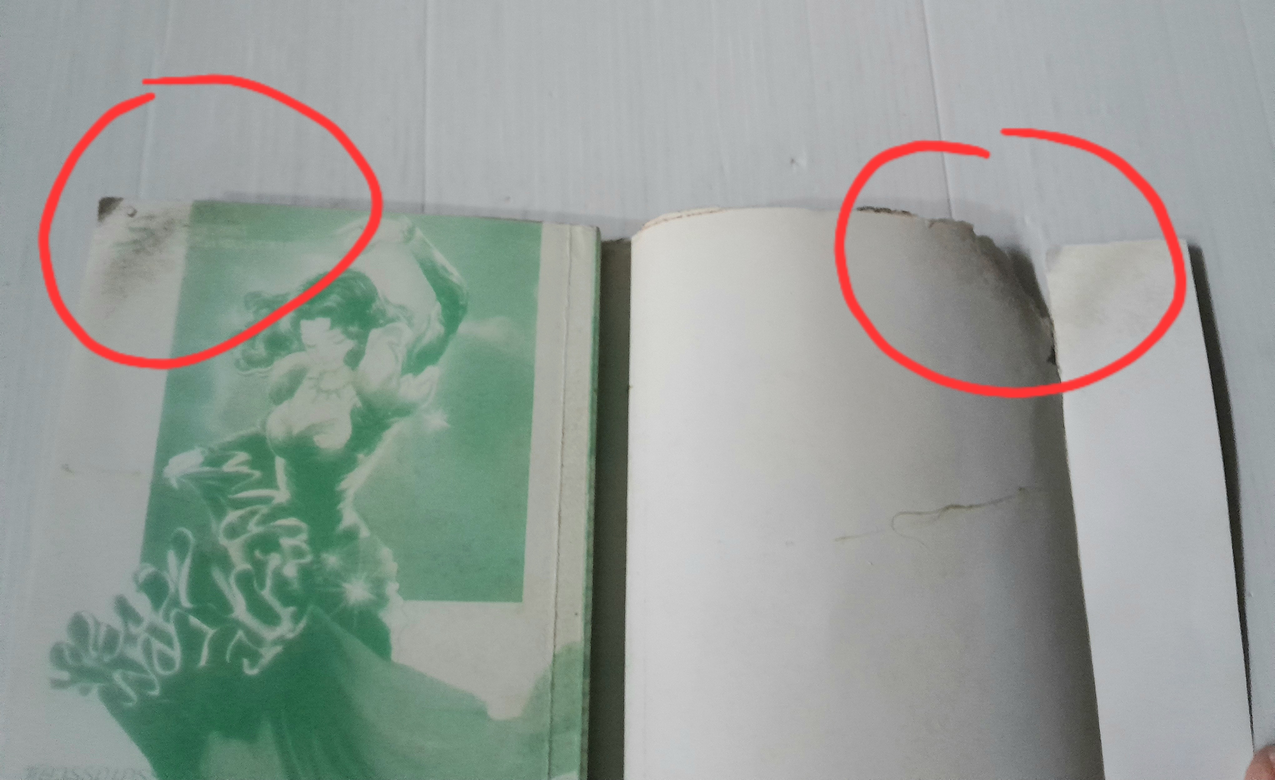 ชุดวรรณกรรมอมตะ 5 คาร์เมน (เล่มเดียวจบ) / Sumiko Imari