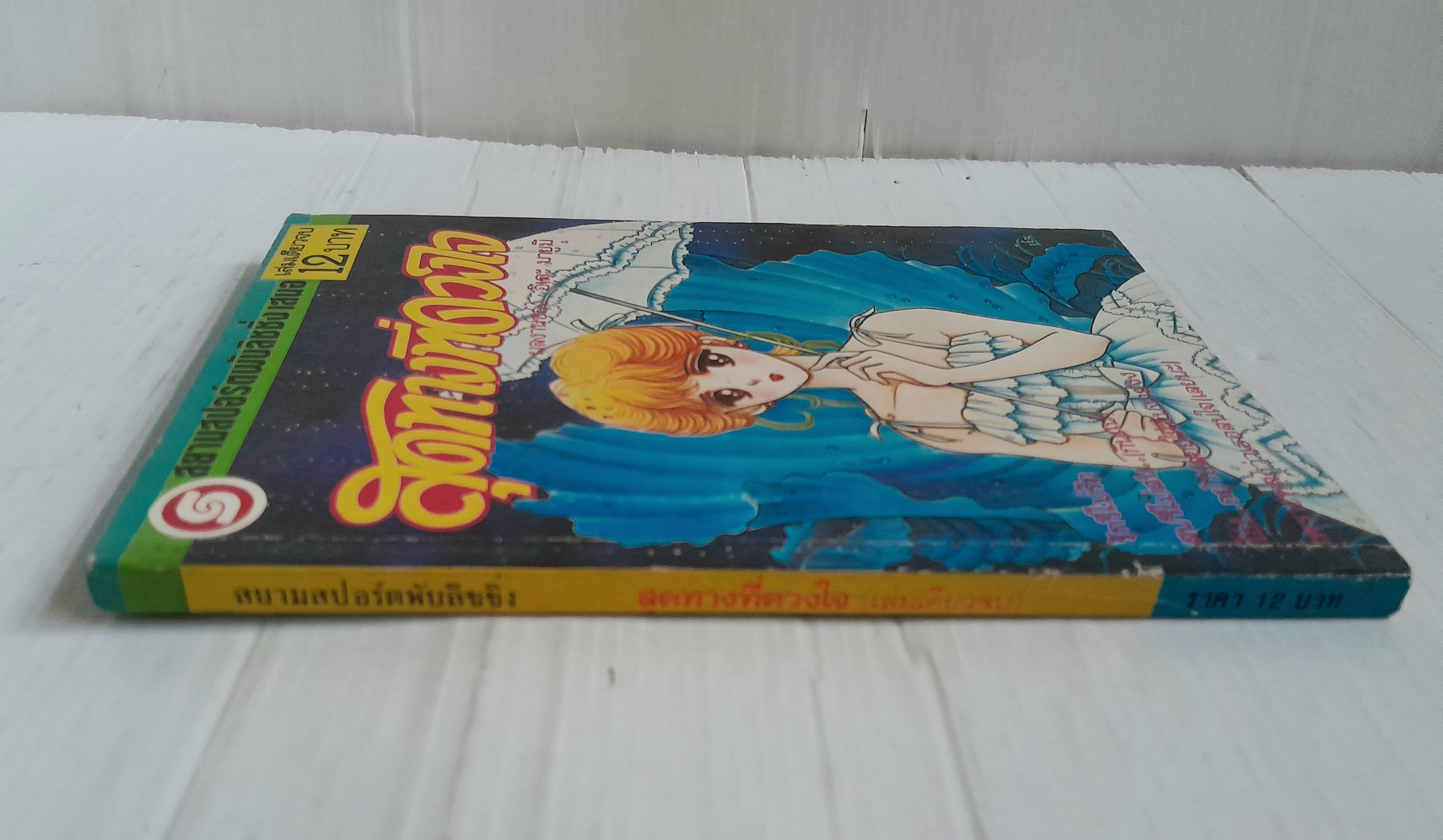 สุดทางที่ดวงใจ (เล่มเดียวจบ) / อิเดะ มายูมิ