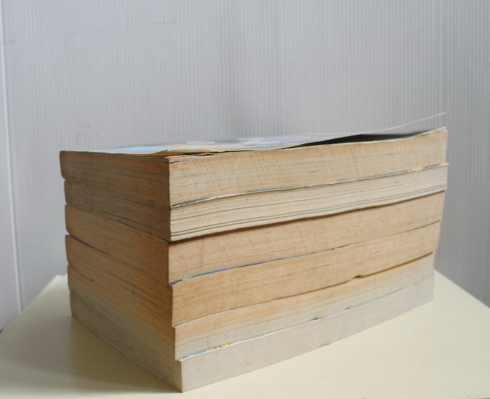 นัยย์ตาเธอสีม่วง 6 เล่มจบ / SHINOHARA CHIE