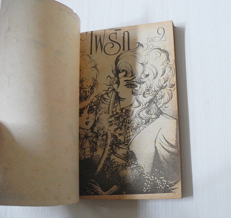 ไฟรัก เล่ม 9 / Hosokawa Chieko