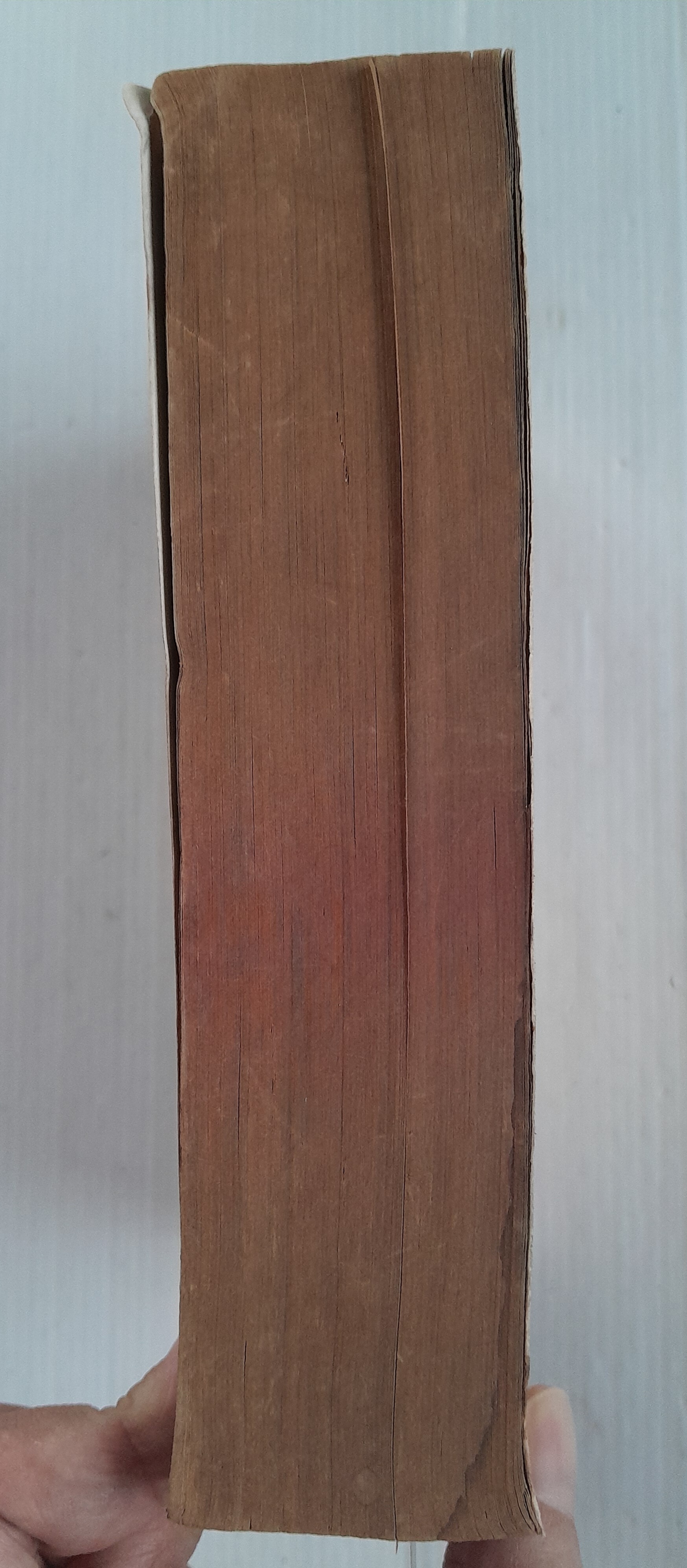 สาวน้อยจอร์จี้ (เล่มเดียวจบ) / Igarashi Yumiko