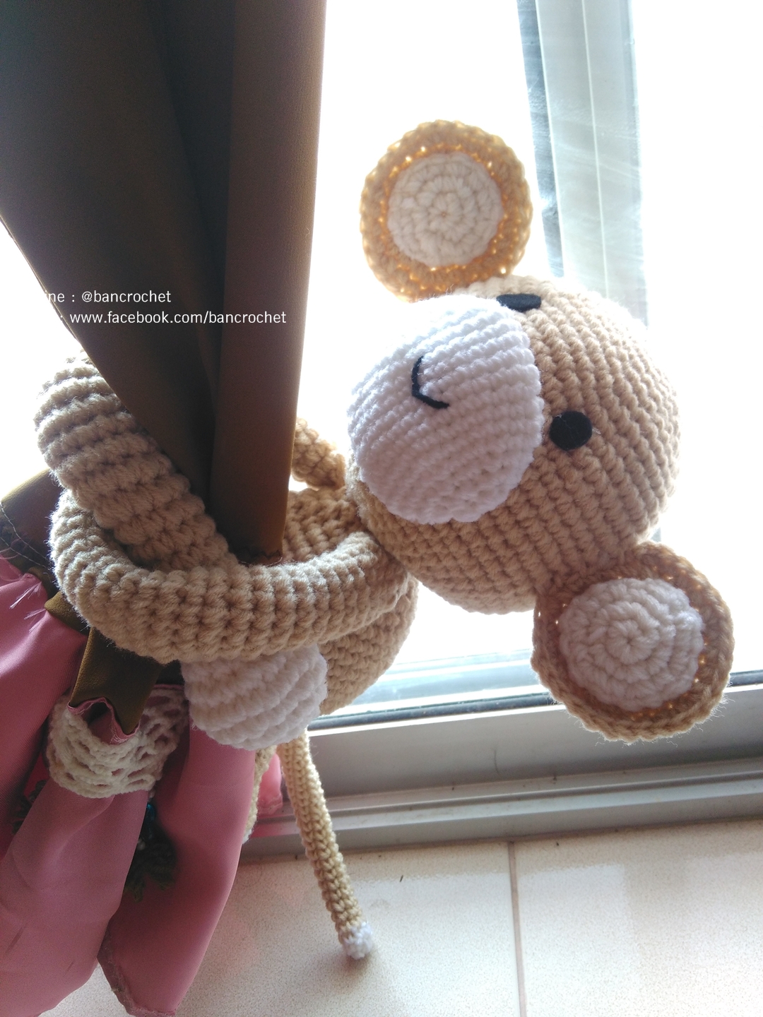 ลิงถักแขนยาว