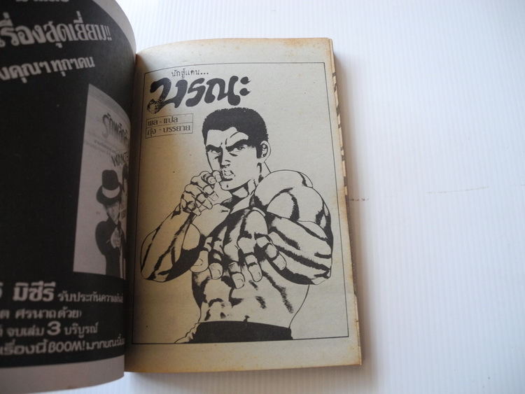 นักสู้แดน..มรณะ ( เล่มเดียวจบ ) / วิบูลย์กิจ