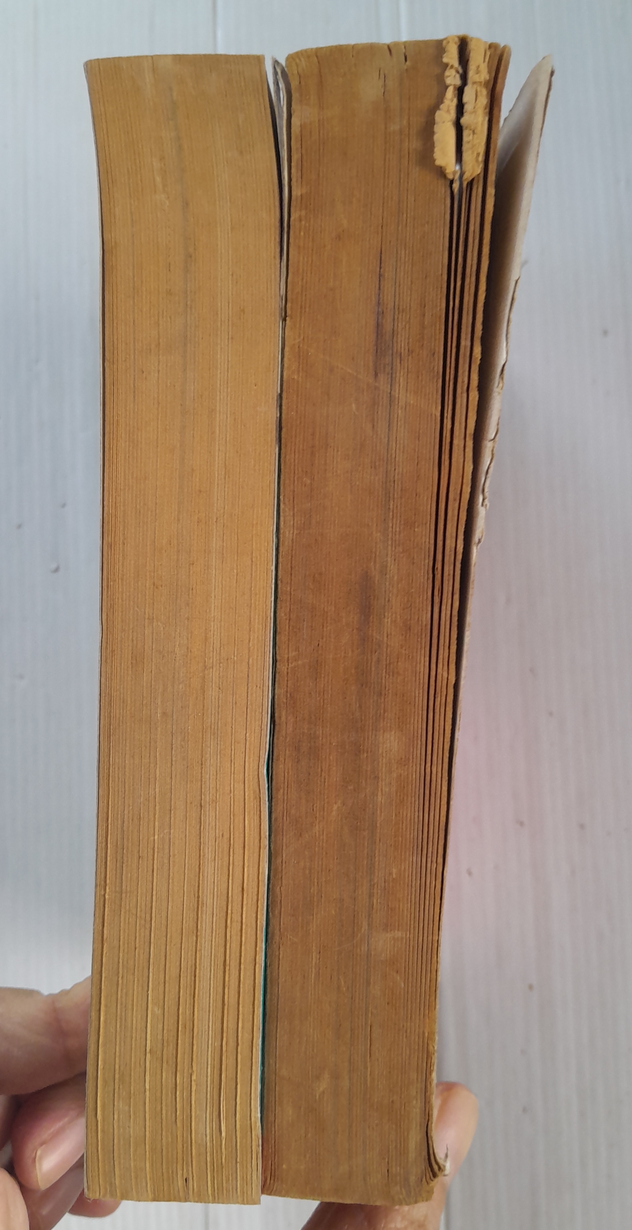 ฉันนั้นหรือ สวย-เฉียบ-เนี้ยบ 2 เล่มจบ / Yumiko Zuzuki