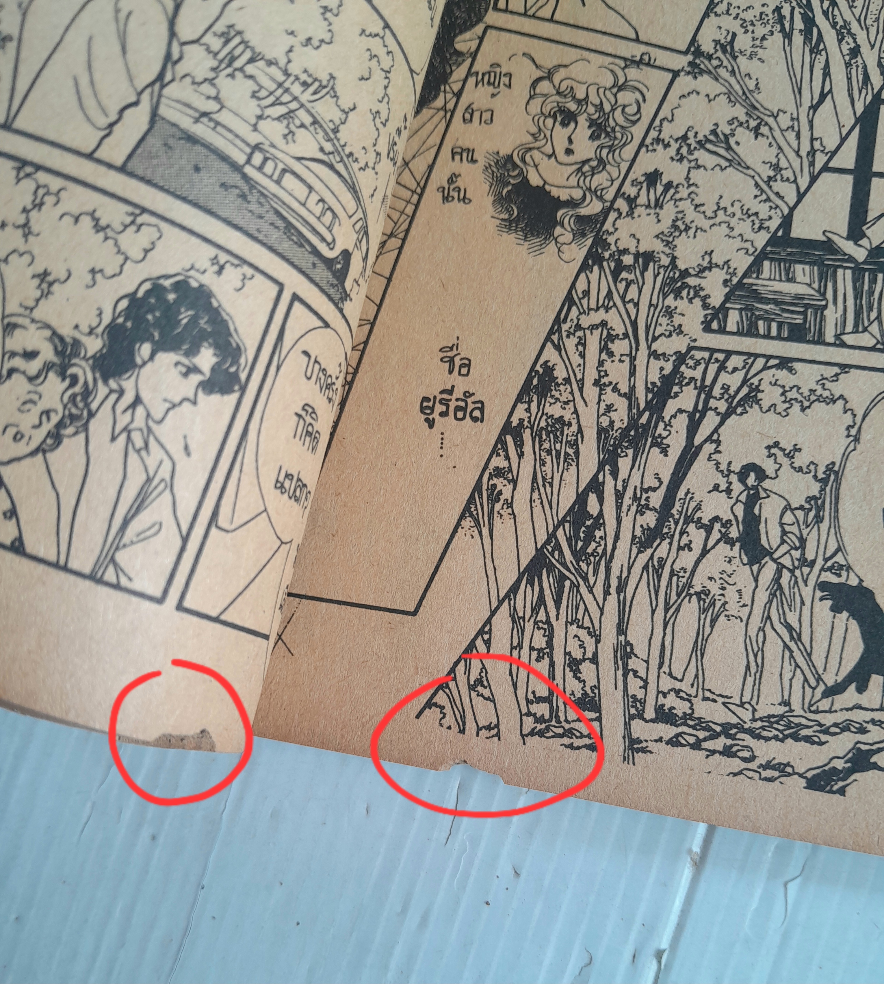 เพชรสีเลือด (เล่มเดียวจบ) / ทากาชินะ เรียวโกะ