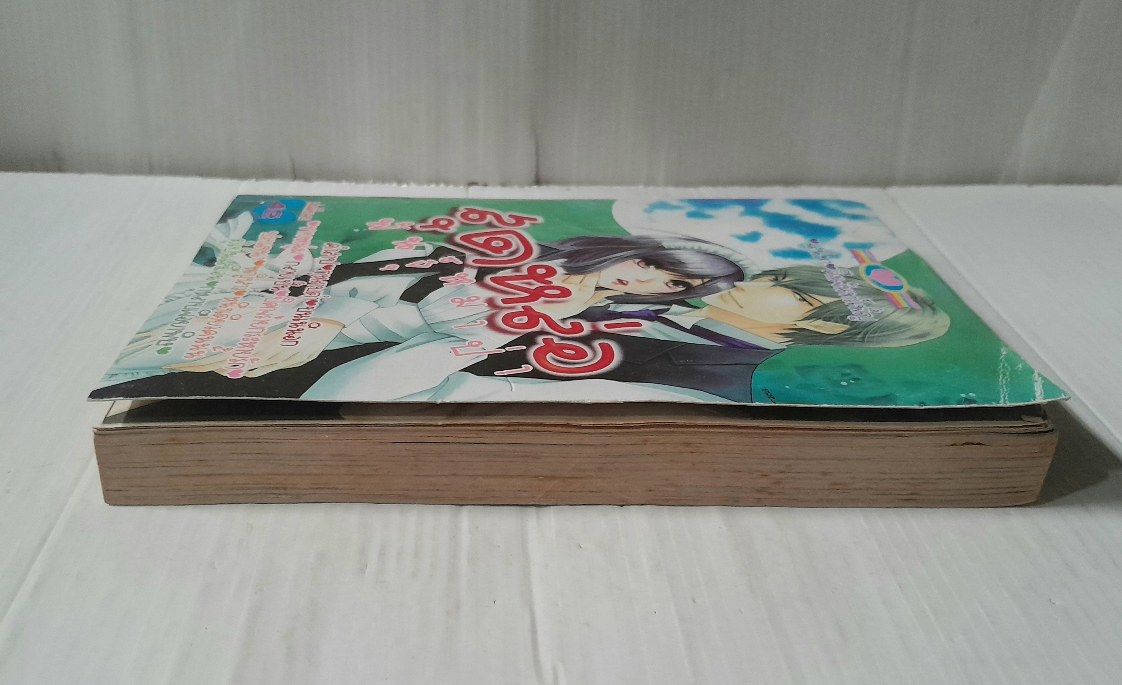 สุดหล่อพันธุ์หมาป่า (เล่มเดียวจบ)