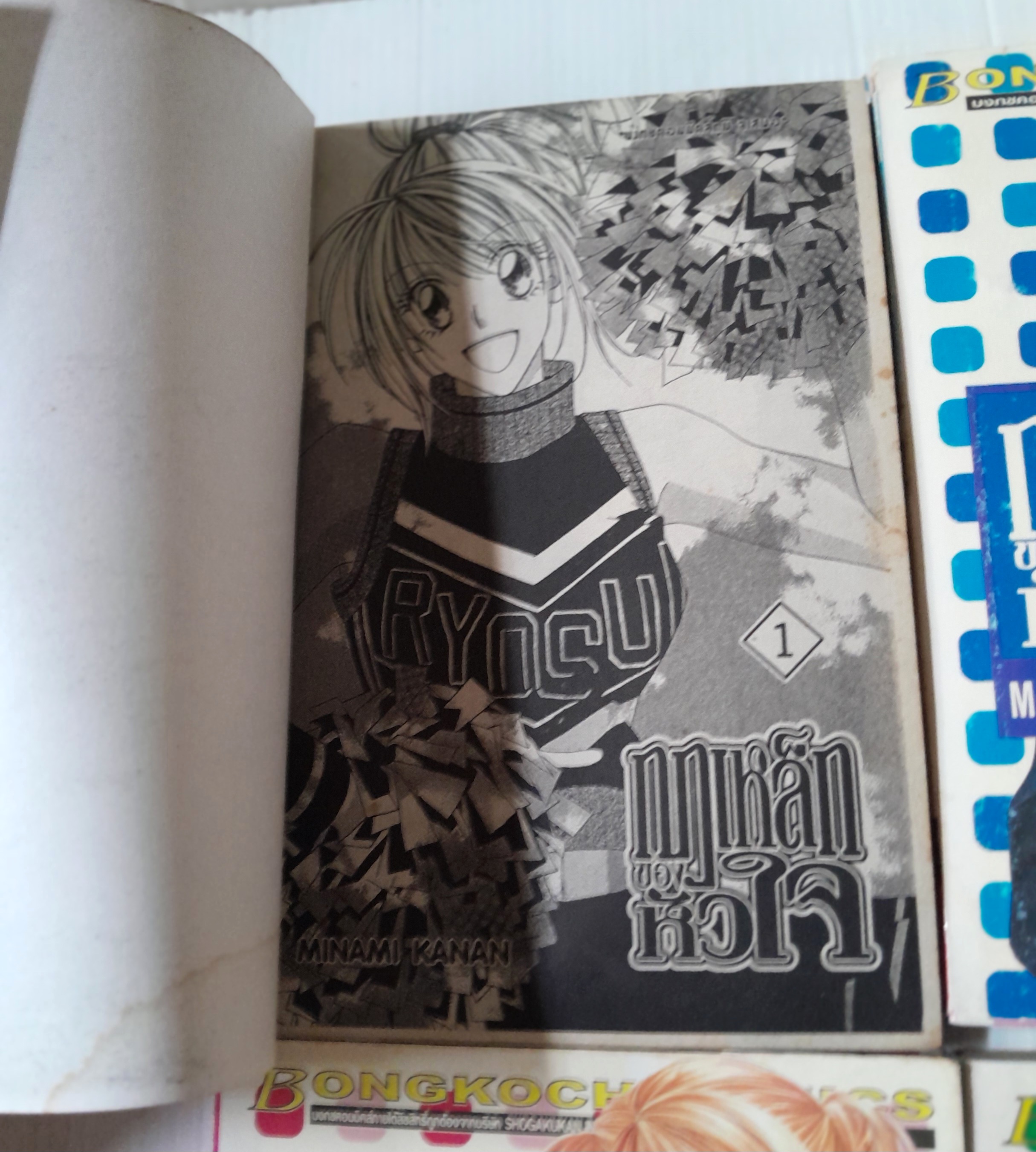กฏเหล็กของหัวใจ 8 เล่มจบ / Minami Kanan