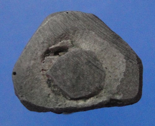 หลวงพ่อภู่ วัดตะเคียนเลื่อน