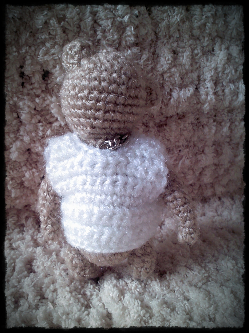 หมีน้ำตาลหน้าสงสัย