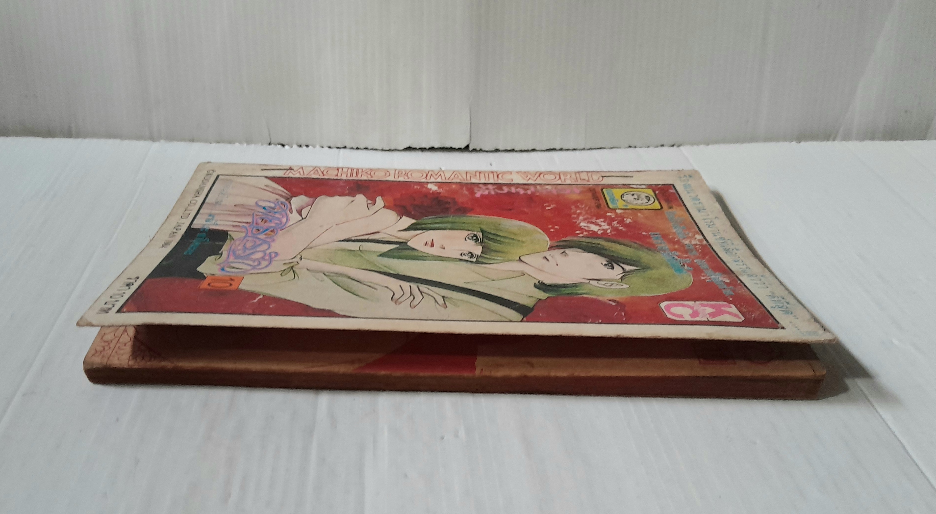 สายธารรัก เล่ม 10 / มาจิโกะ ซาโตนะกะ