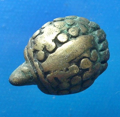 เต่าหลวงพ่อเงิน