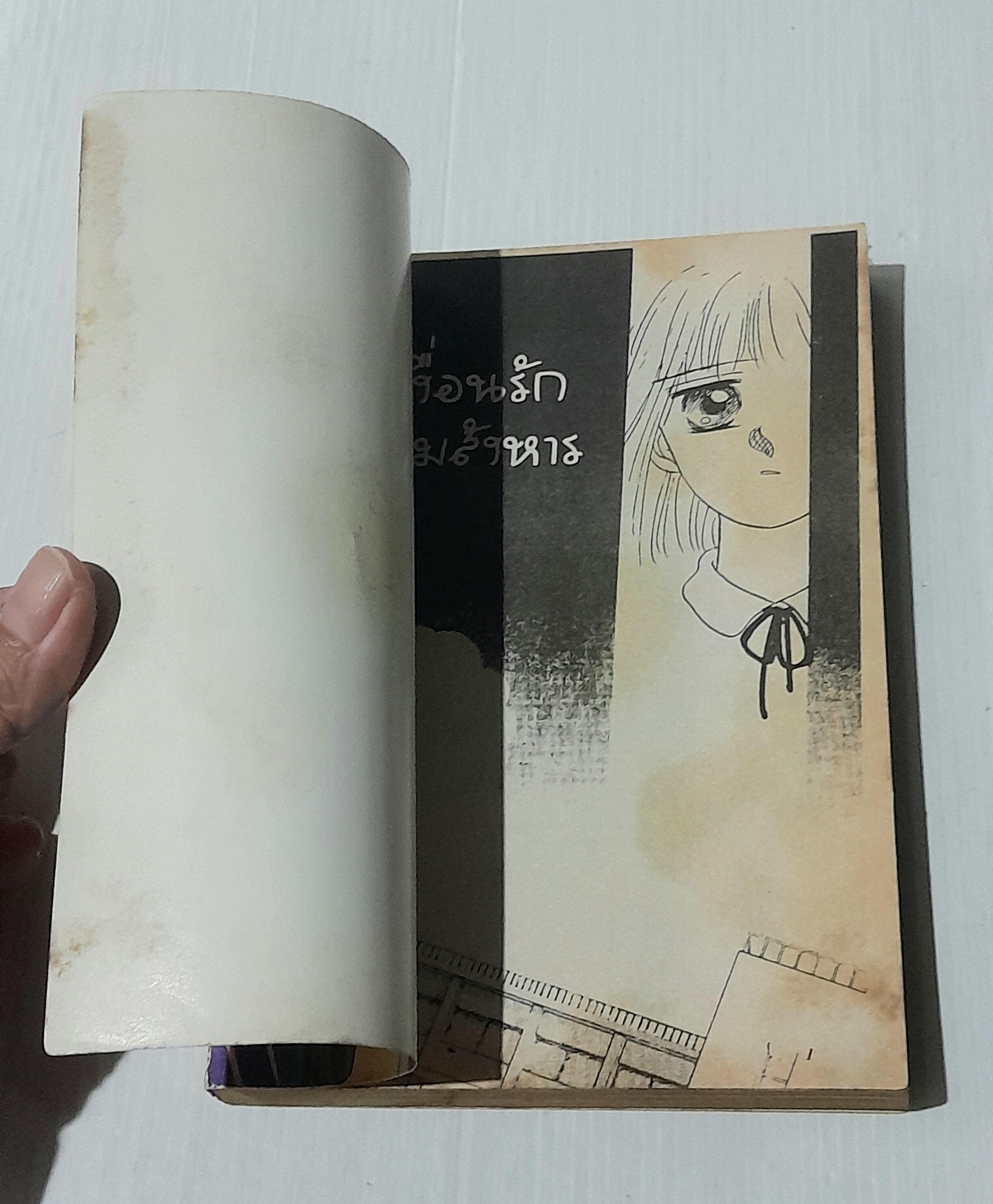 เงื่อนรักปมสังหาร (เล่มเดียวจบ)