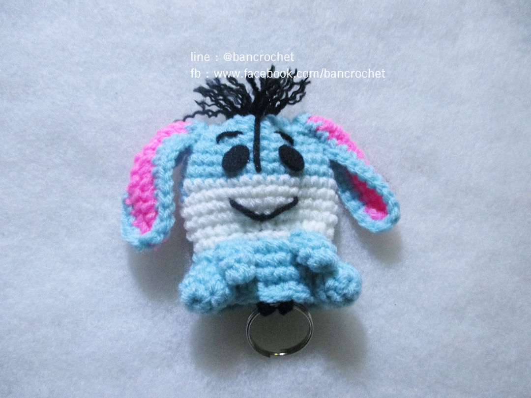 ครอบกุญแจอิยอร์