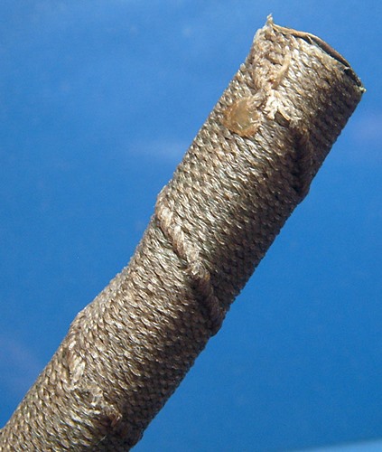 ตะกรุดหลวงพ่อทบ