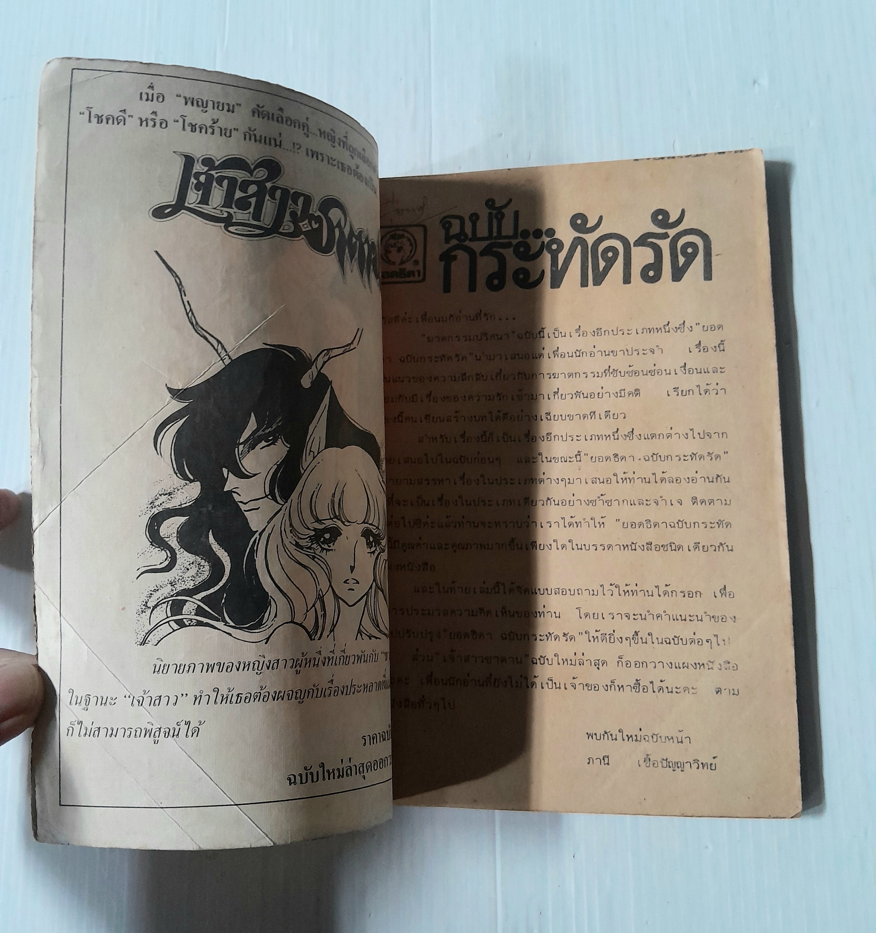 ฆาตกรรมปริศนา..? (เล่มเดียวจบ)