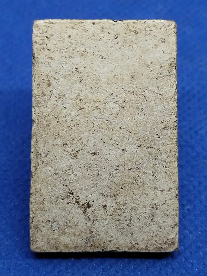 พระสมเด็จหลวงปู่นาค