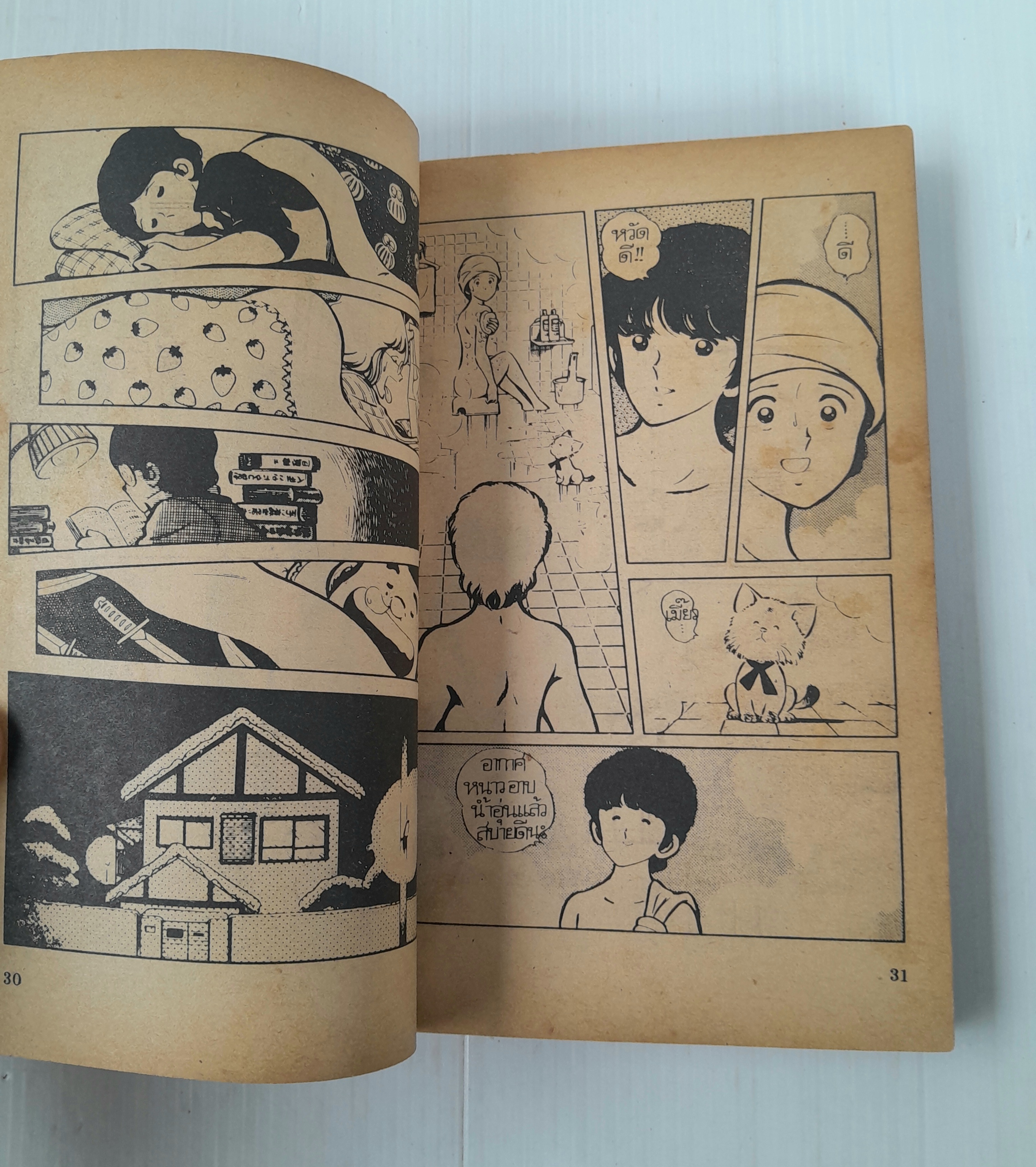 รักพลิกล๊อค 3 เล่มจบ / Adachi Mitsuru