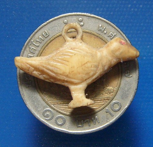 นกสาริกา