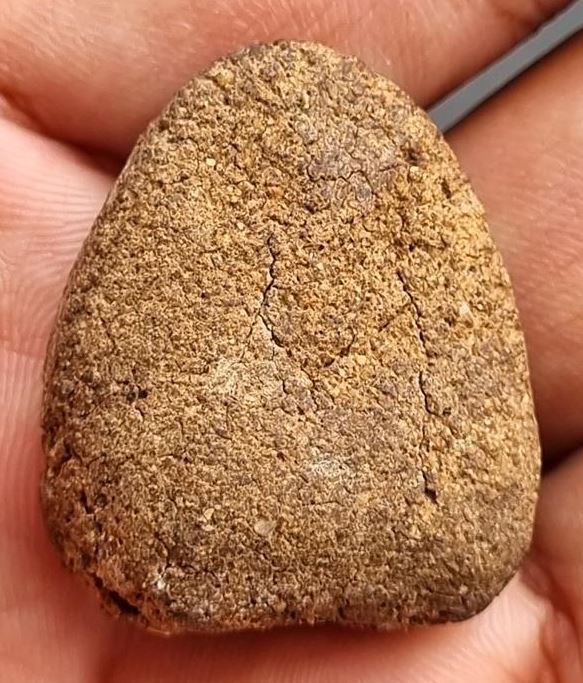 พระครูธรรมธร หลวงพ่อเขียน