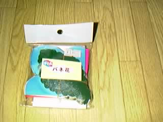 T-89 Spring Flowers 1977