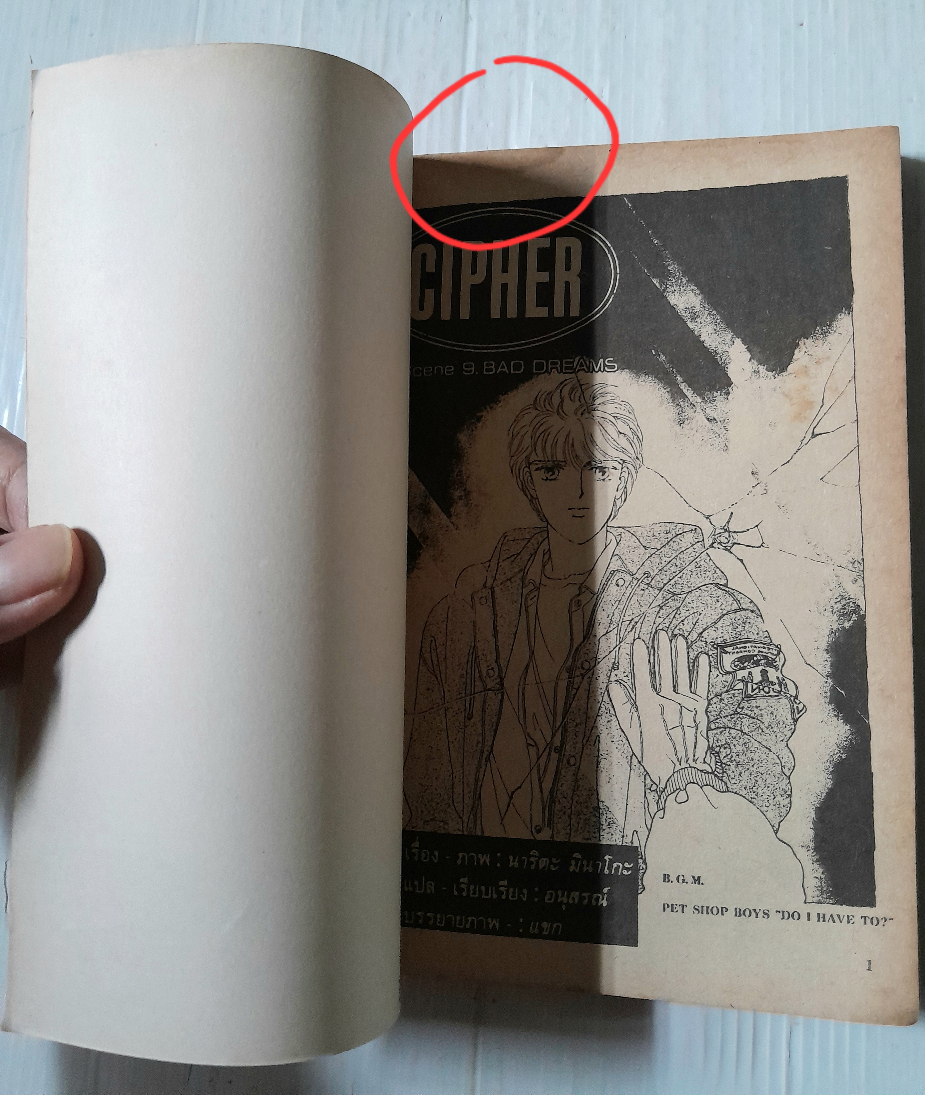 CIPHER ไซเฟอร์ 14 เล่มจบ / NARITA MINAKO