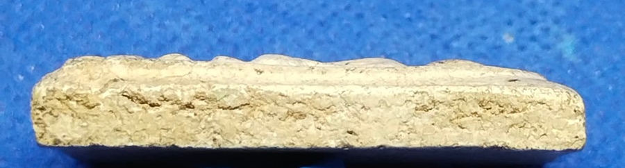 พระสมเด็จหลวงปู่นาค