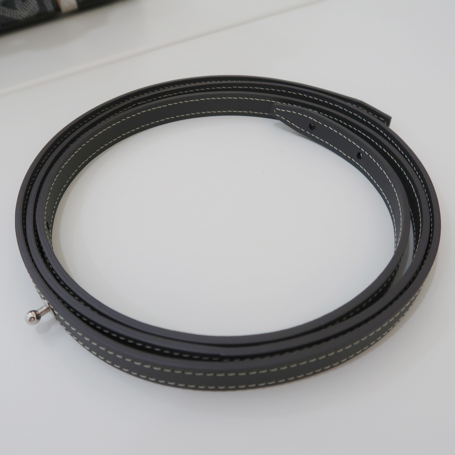 Goyard Grey Saigon Mini Structure (2023)